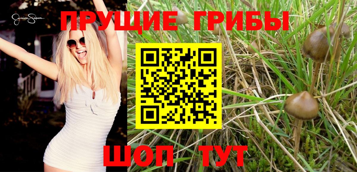 Псилоцибиновые грибы прущие грибы  Псилоцибиновые грибы MAGIC MUSHROOMS  Вход с VPN  Кумертау 